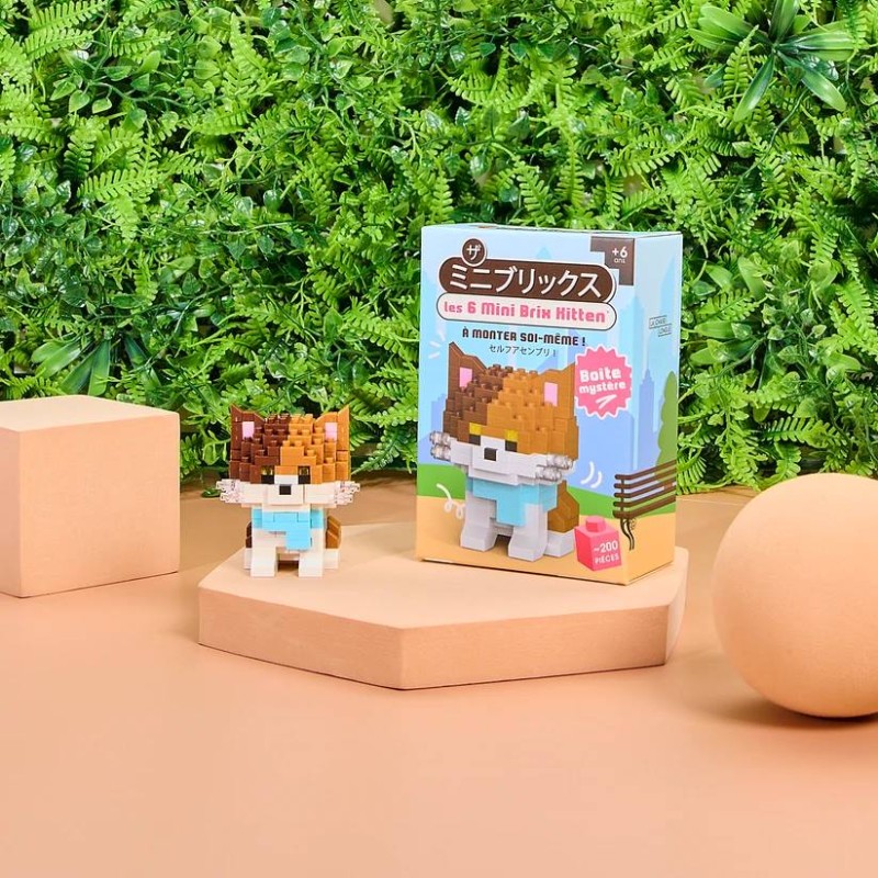 Blind Box Mini Brix - Chat...