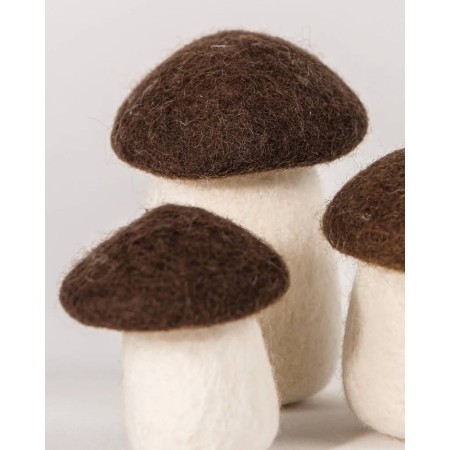 Moyen - Champignon bolet...