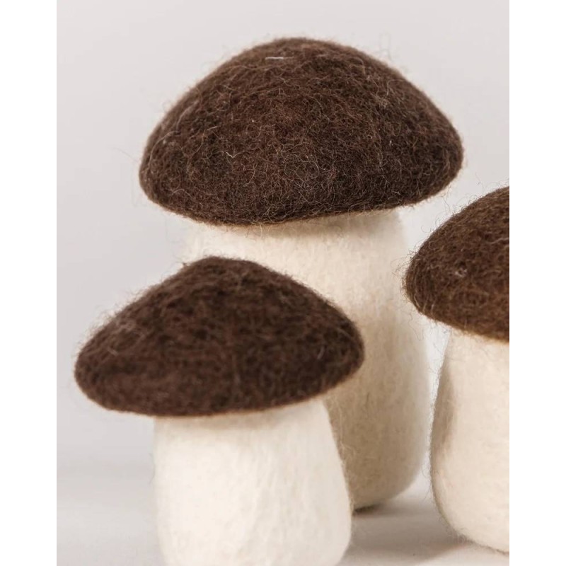 Moyen - Champignon bolet...