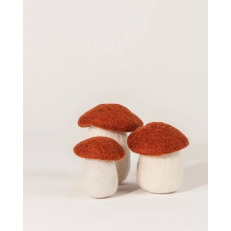 Mini - Champignon rouille